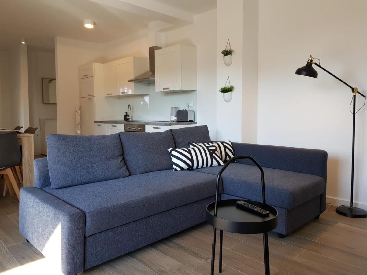 Maslina - 3 * Zadar